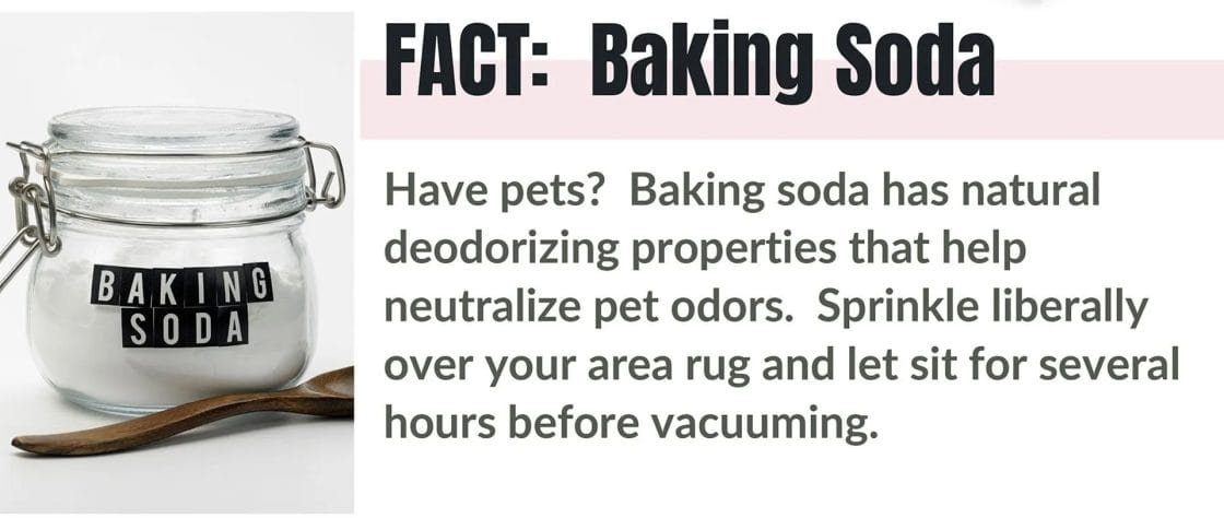 FACT: Baking Soda. Have pets? Baking soda has natural deodorizing properties that help neutralize pet odors. Sprinkle liberally over your area rug and let sit for several hours before vacuuming.