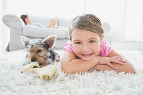 Young smiling girl lying on a fluffy area rug next to a small pet dog